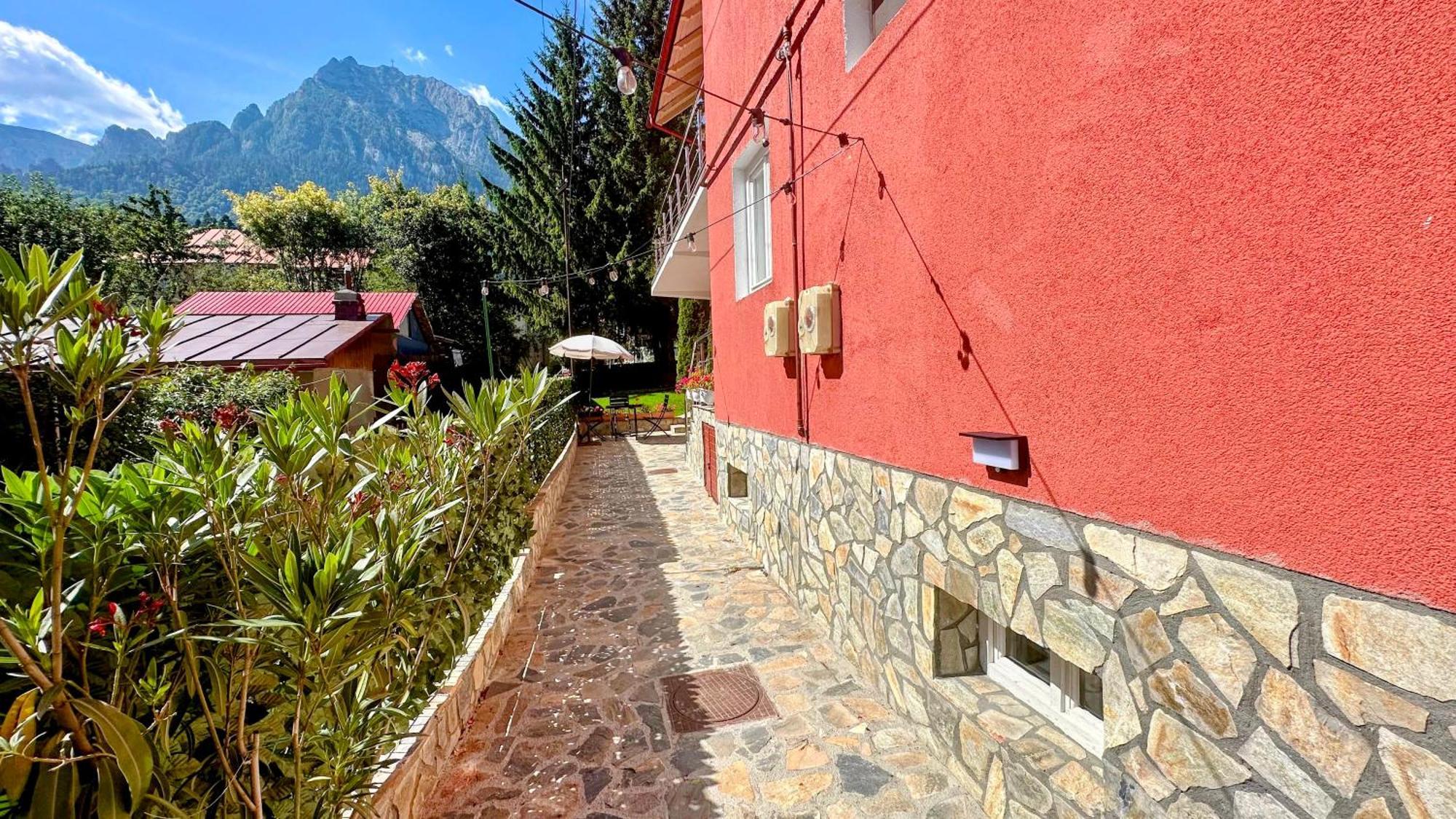 Valea Alba View - Self Check-In Hotel Buşteni Exterior foto