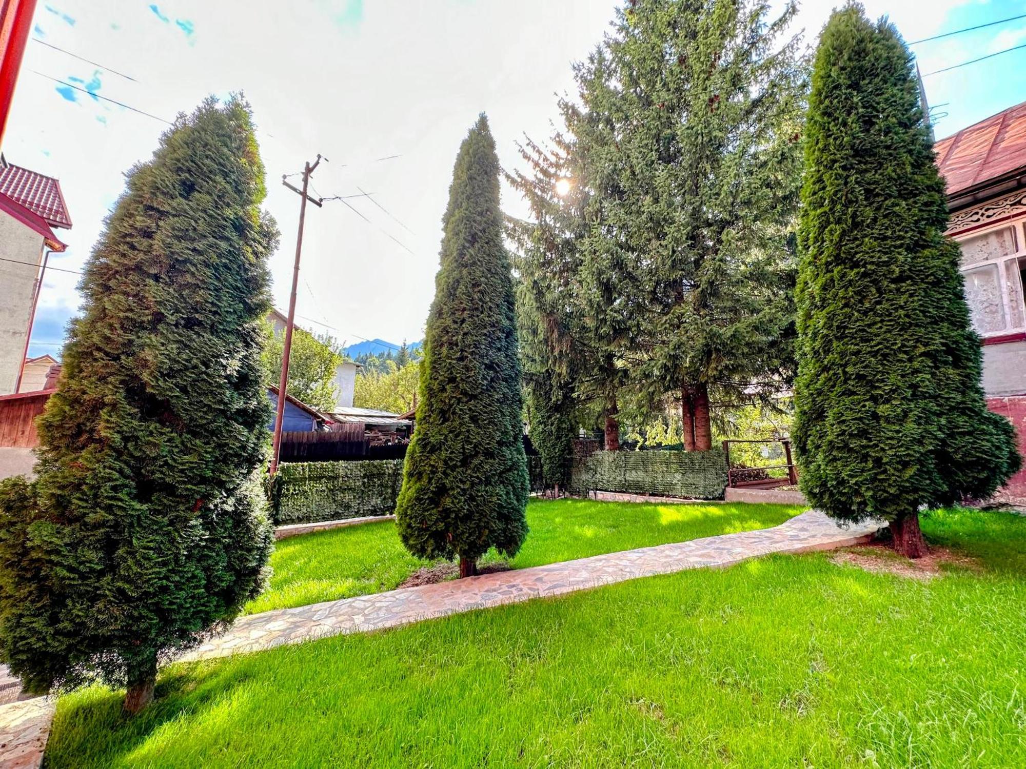 Valea Alba View - Self Check-In Hotel Buşteni Exterior foto