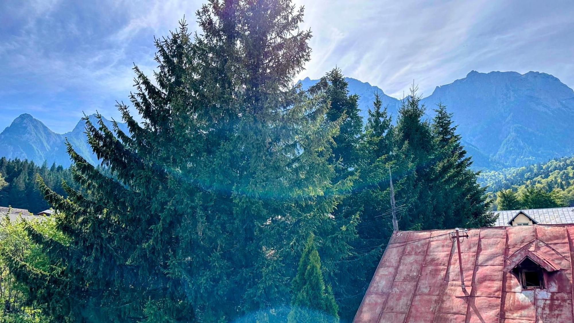 Valea Alba View - Self Check-In Hotel Buşteni Exterior foto